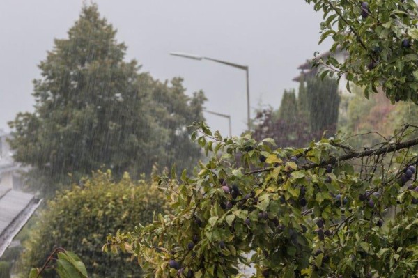 blick aus dem fenster (19.8.2014) - (c) r pattke.jpg